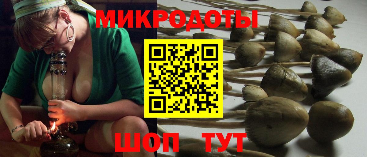 Псилоцибиновые грибы Psilocybine cubensis Ишим
